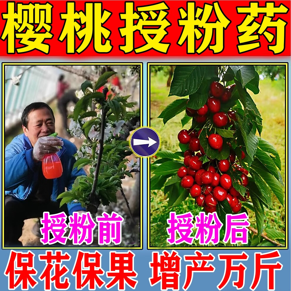 大櫻桃授粉藥花粉授粉坐果精保花保果藥防落果人工授粉器旺水溶肥 3包裝【試用裝】