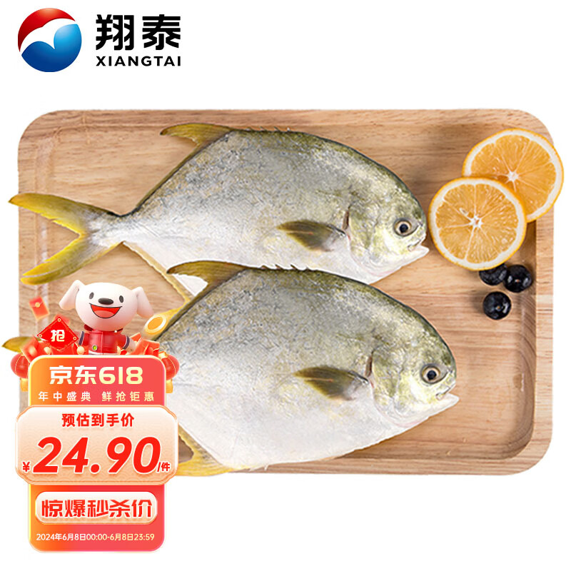 翔泰冷冻海南金鲳鱼700g 2条 生鲜鱼类 深海鱼  烧烤食材 海鲜水产
