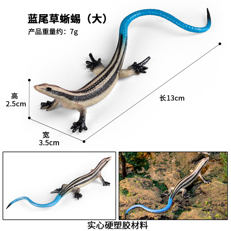 oenux仿真野生爬行动物模型四脚蛇蜥蜴石龙子儿童整蛊玩具实心塑胶