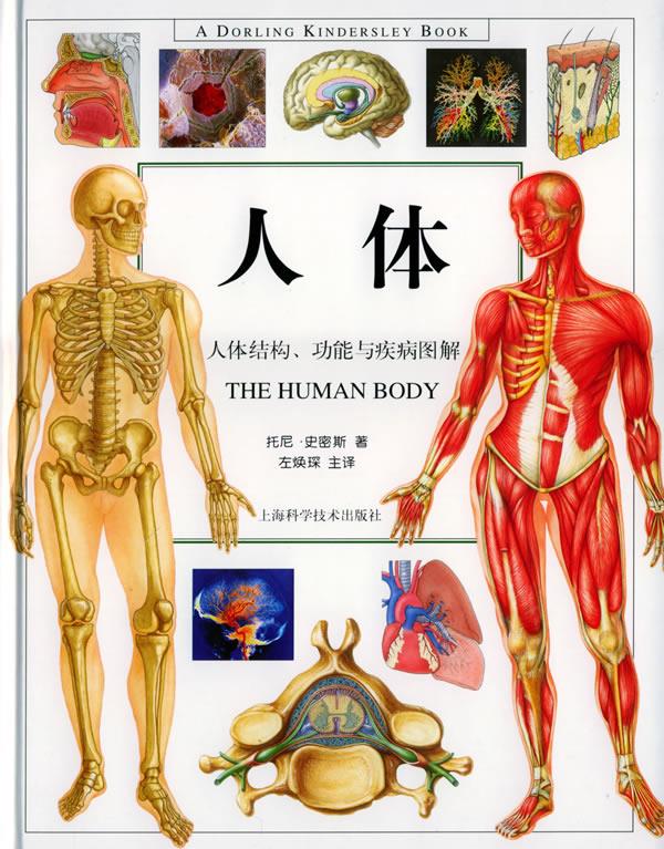 人体:人体结构功能与疾病图解