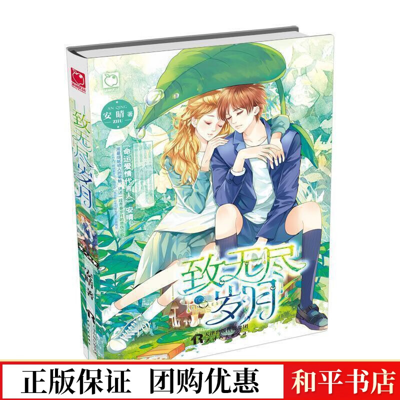 魅丽优品:致无尽岁月安晴天津人民出版社有限公司9787201094335 青春