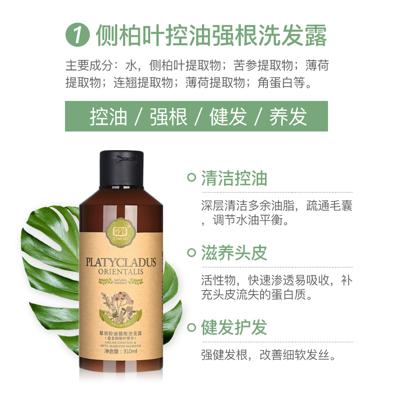 尊荣 侧柏叶洗发水去屑止痒控油强根洗头膏植物深层清洁柔顺洗护套装 控油强根洗发露310ml
