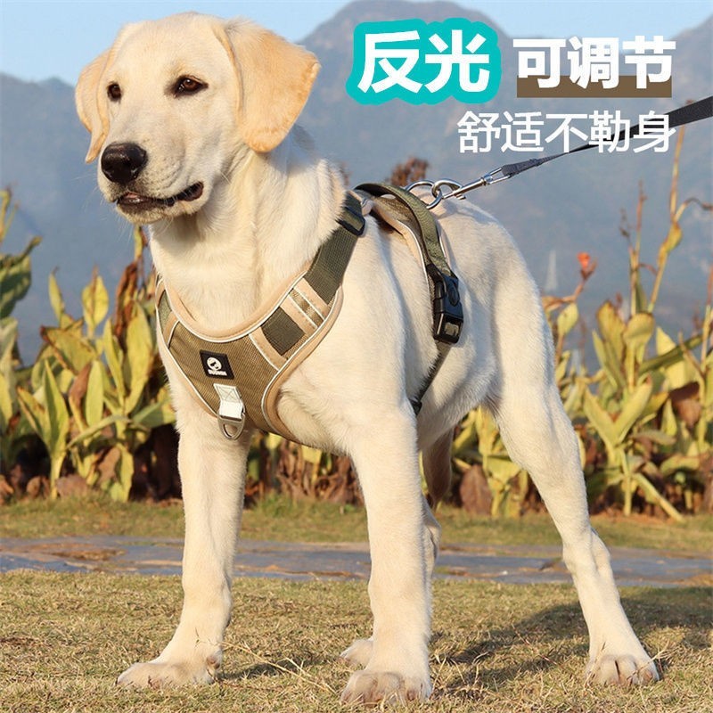 查询牵引绳胸背带低价软件|牵引绳胸背带价格走势图