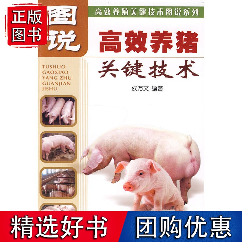 图说 养猪关键技术