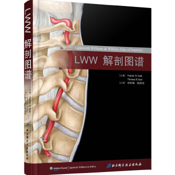 LWW解剖图谱