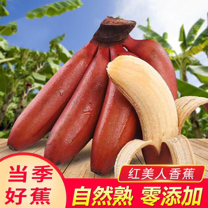 帝醇果 【现货速发】福建漳州红美人香蕉新鲜整箱现摘红皮芭蕉大水果