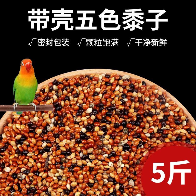 老司机说说花卷宝宝鹦鹉饲料怎么样好不好，亲身感受曝光