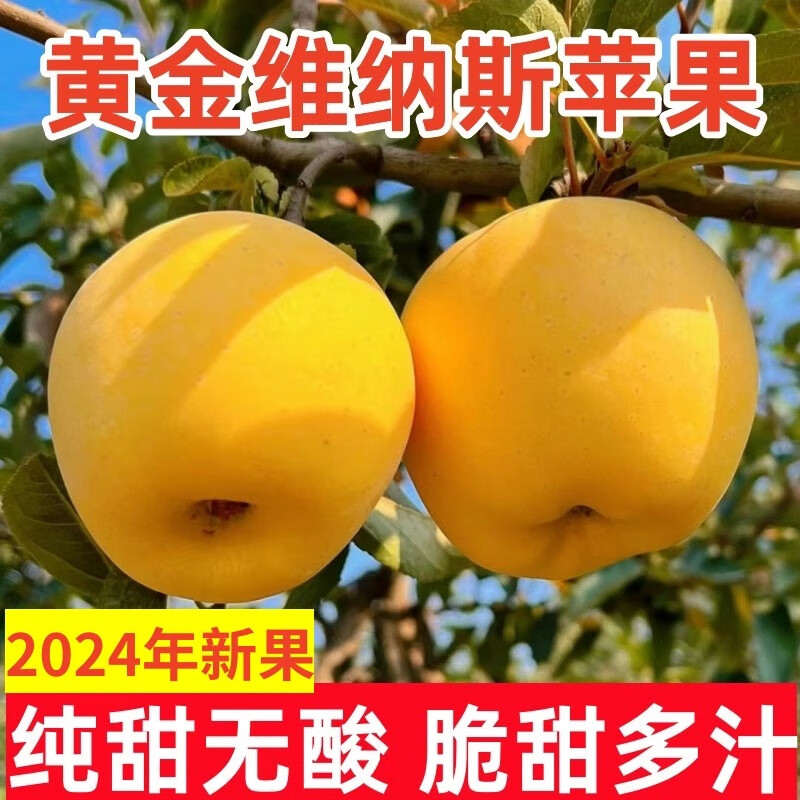 ��ӭά��˹�ƽ�ƻ��ɽ��ƻ�����ʵ���ˮ���и��ɳ�ʱ��ˮ�������֭ ��4.5-5�����180g+��