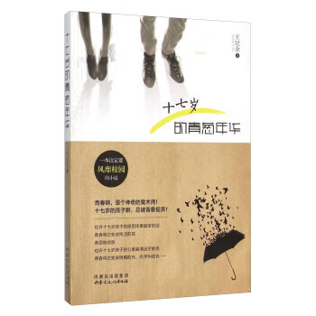 十七岁的青葱年华