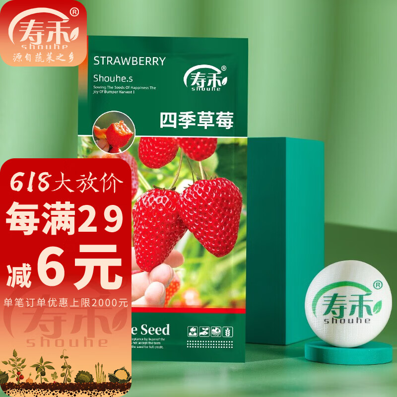 寿禾 奶油草莓种子室内四季春冬季盆栽奶油白草莓春季播种种籽种孑 四