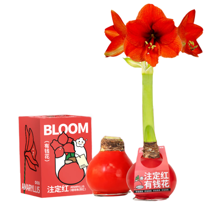 ڲʻ춥аشԪļԴͷֱ30.8Ԫ