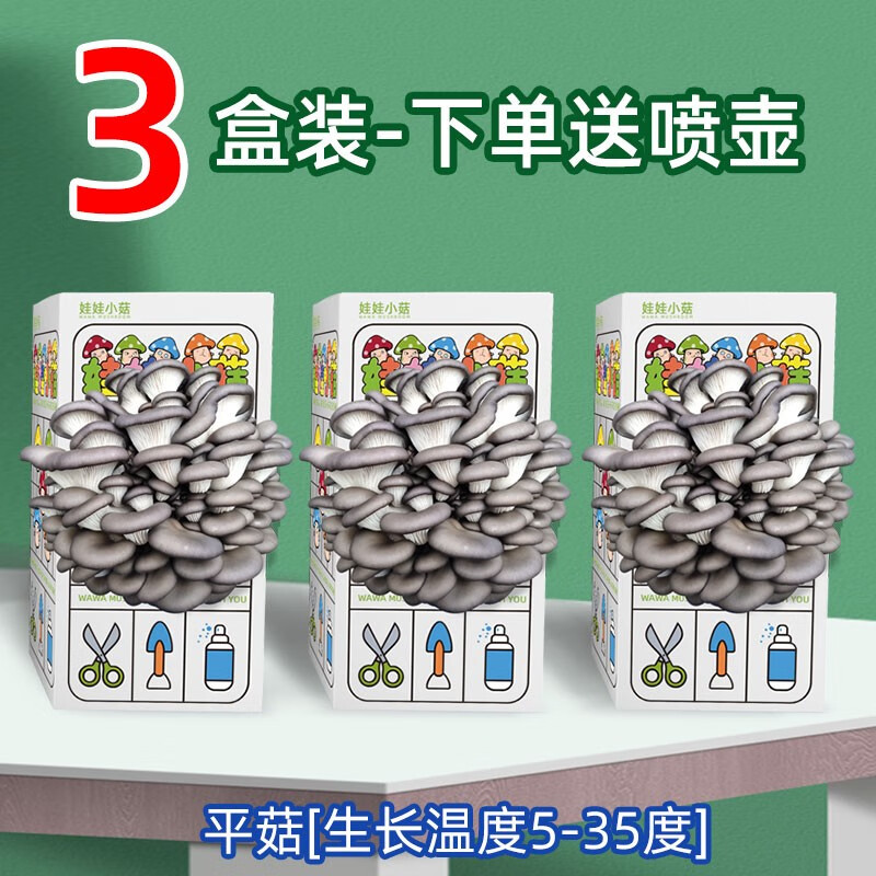 娃娃小菇蘑菇种植盒装平袋盆栽培儿童趣味包桶盒子礼品食用家庭盆景 平菇3个【标准款礼盒装】高性价比高么？