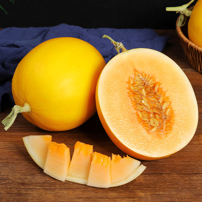 千园九味黄河蜜瓜当季黄皮沙漠蜜瓜金红宝银蒂新鲜水果 整箱 黄金蜜瓜5斤装（推荐）