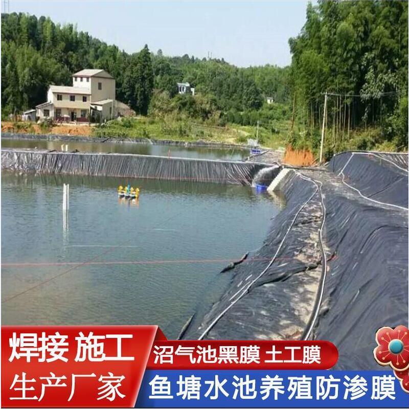 水塘防渗膜加厚hdpe土工膜养猪场沼气池黑膜鱼塘防渗膜护坡鱼池防水布