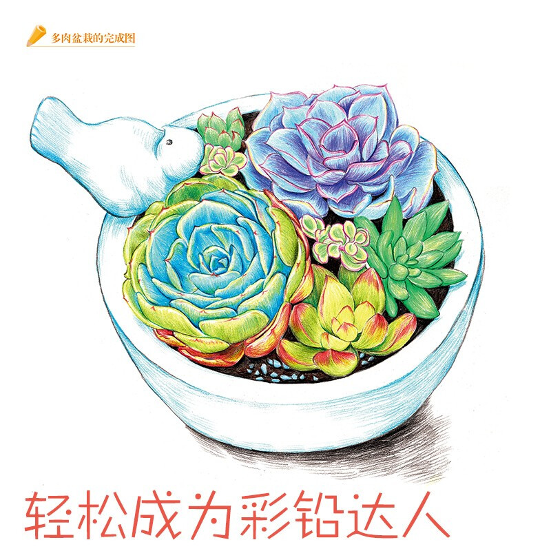 【彩铅基础教程 辉柏嘉48色彩铅】经典全集 五大主题花卉/多肉植物