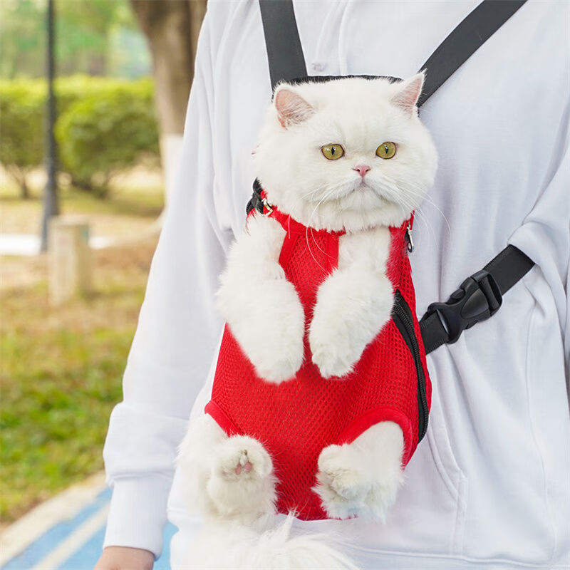遥绾惜宠物狗狗双肩包双肩透气便携包四角宠物猫猫咪胸前外出便携背包 379款外出双肩包黑色 XL(适合9-14斤)