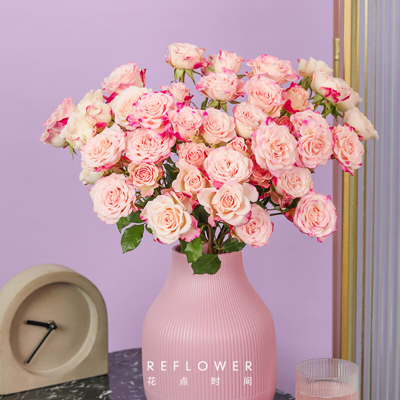 ����ʱ�䣨Reflower����ͷõ�廨�ʻ�������������Դͷֱ�����л�������ɫ���10֦