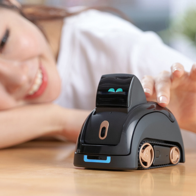 恋卡侬儿童玩具wwwan一丙机器人宠物智能ai人工智能vector对话 高 一