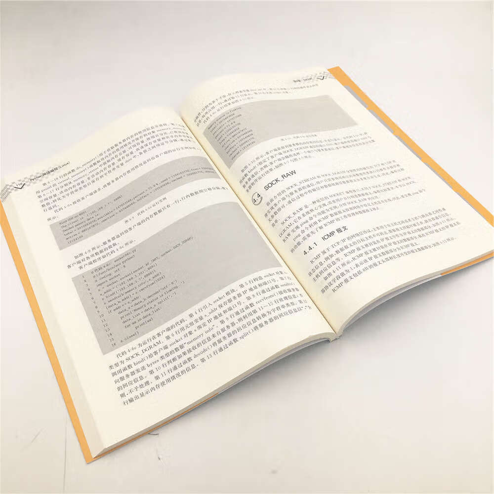 Python网络编程(Linux)（大数据与人工智能技术丛书）
