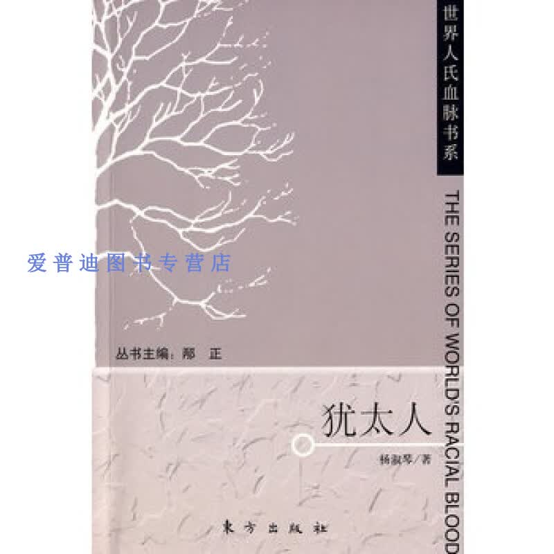 犹太人 杨淑琴【正版图书，放心购买】