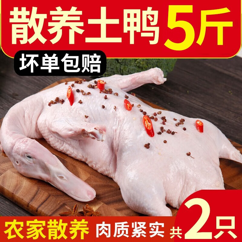 岽鲜 新鲜鸭肉生鲜白条鸭冷冻整只 煲汤食材鸭子肉 鸭子 1250g*2只