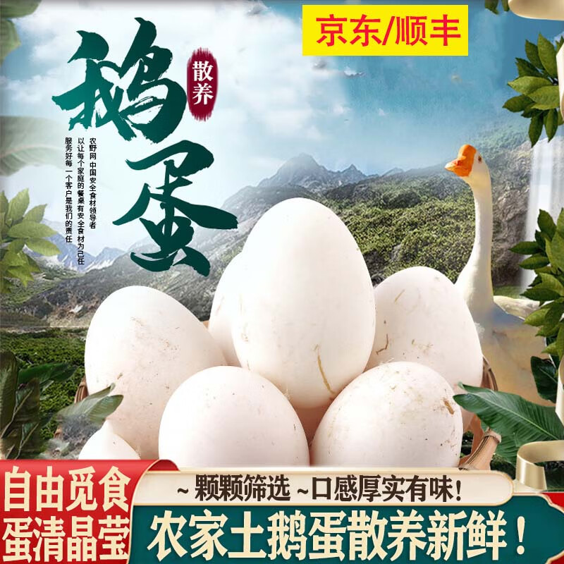 鹅蛋 农家散养土鹅蛋正宗特产12枚大个生鹅蛋孕妇精品 译蒙之味 12枚装特大蛋【125-140g】