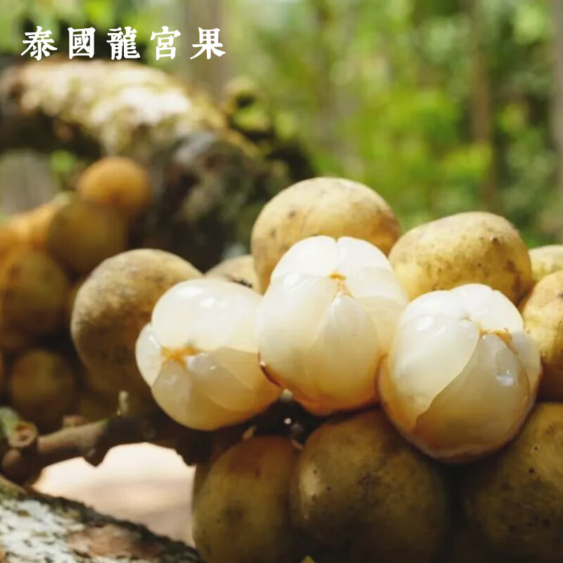 每天水果优选泰国龙宫果稀有猎奇水果顺丰当季整箱 2斤 顺丰空运/陆运