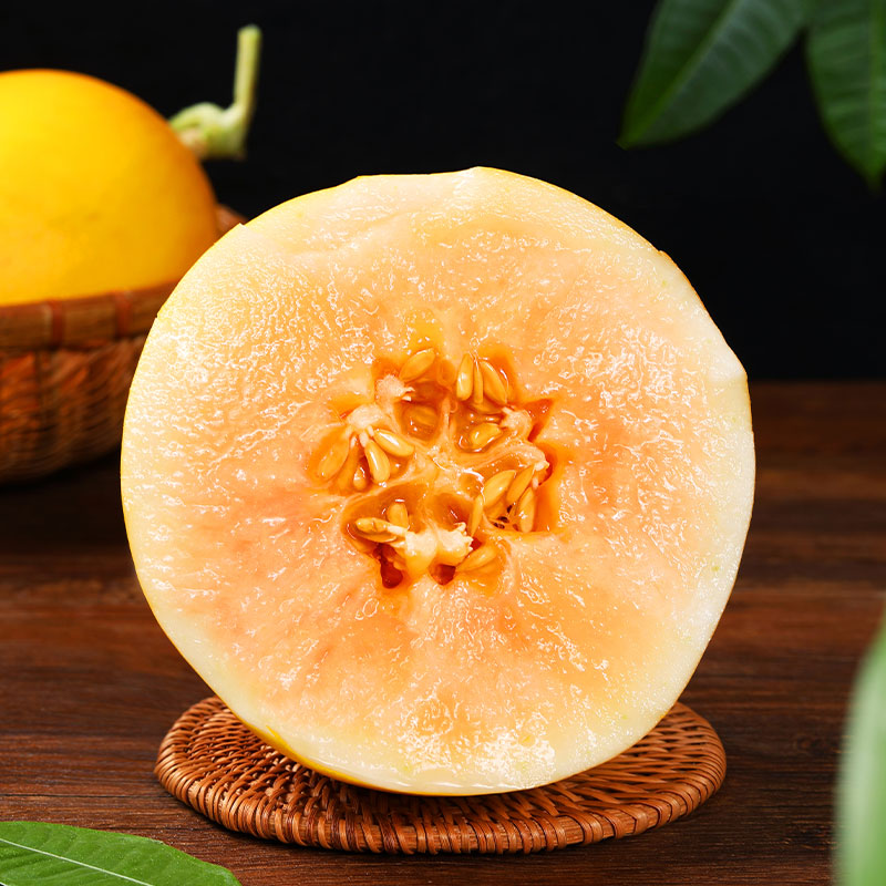 千园九味黄河蜜瓜当季黄皮沙漠蜜瓜金红宝银蒂新鲜水果 整箱 黄金蜜瓜5斤装（推荐）