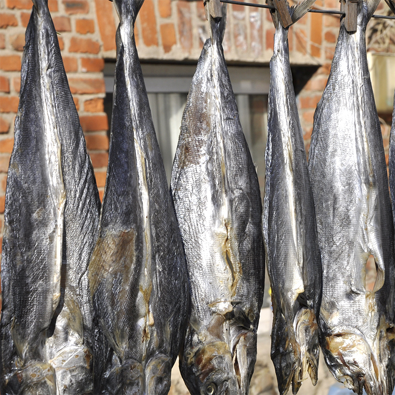 渔民自晒鲅鱼干500g海鲜海鱼干货海产马鲛鱼咸鱼干腌制水产品风干