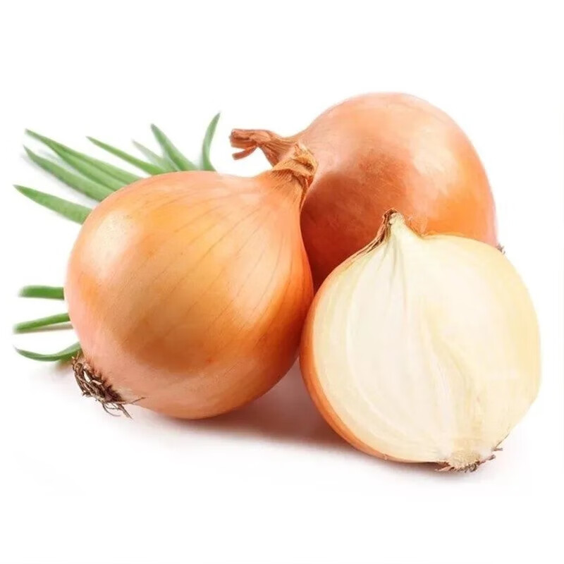 zxc山东黄皮洋葱新鲜 黄葱头现挖大洋葱头白心圆葱农家自种蔬菜 5斤