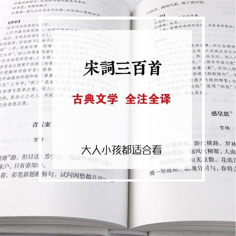 【严选】宋词三百首精装全译原著完整版文白中国古诗词古典文学名著书籍 默认规格