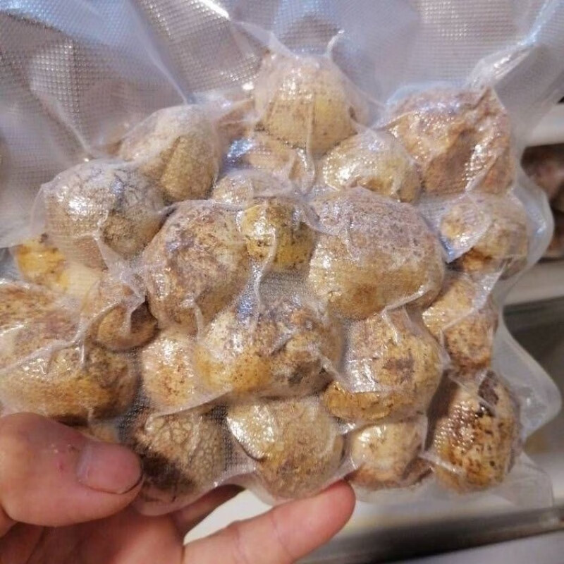 i新鲜马勃菌马屁泡鲜蘑菇马皮包菌新鲜现摘食用石头菇江西 中小果一斤