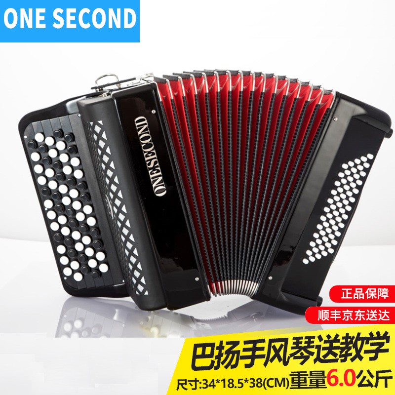 一秒品牌巴扬手风琴乐器96/60/120/80BS考级演奏初学 型号Y855-巴扬60贝斯黑色