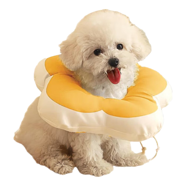 ��Ԫ��ߣ�hoopet��è������ɯ��Ȧ��è��Ȧ���ﹷ��Ȧ��Ȧ��Ȧͷ��Ȯ����Ȧ����ͷ�� 11.6Ԫ