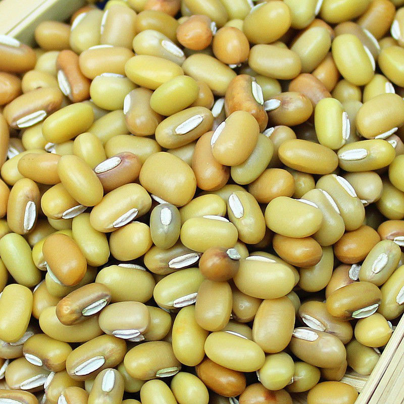 新货竹豆云南农家懒豆自产饭豆眉豆米豆豇豆江豆杂粮豆类粗粮 竹豆3斤