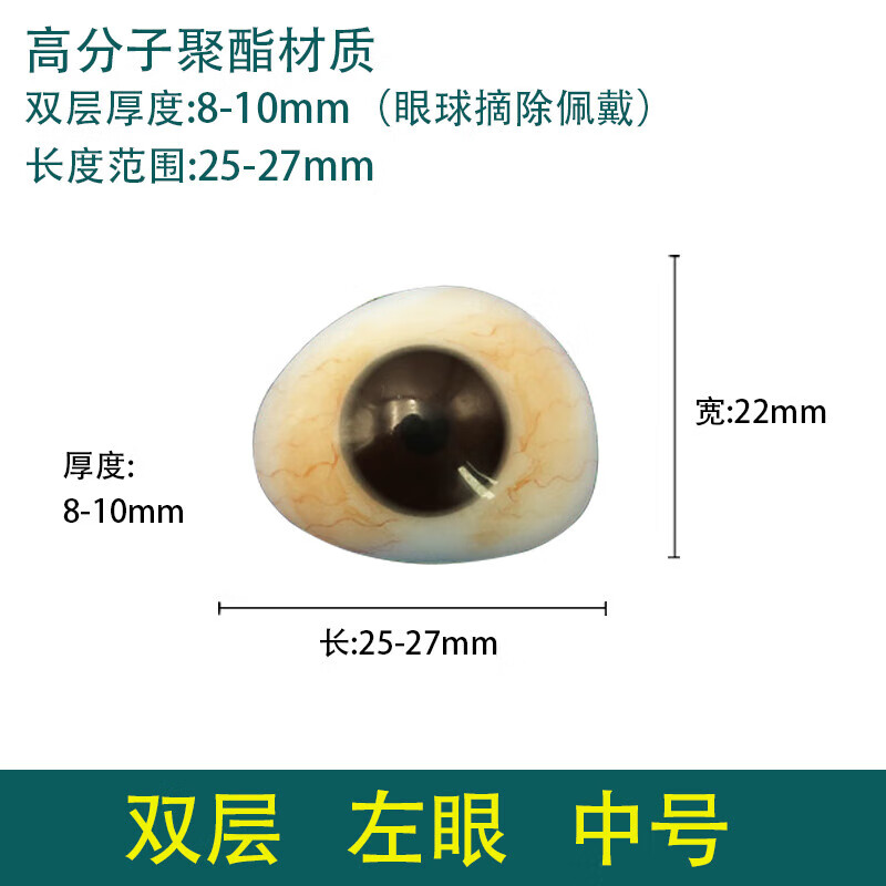 进口高分子树脂义眼片眼球残疾用萎缩摘假眼睛蜡像展示用眼 双层 左眼 中号 厚款