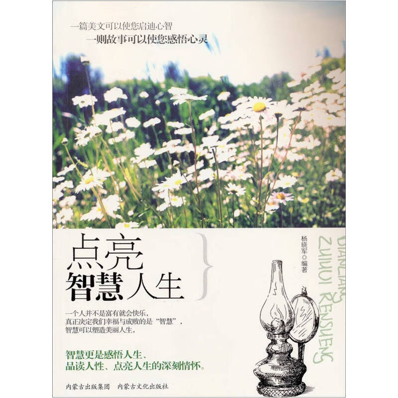 点亮智慧人生【正版书籍,畅读优品】