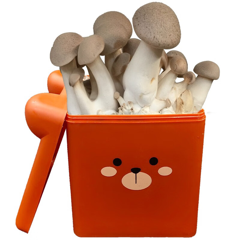 菇婆婆蘑菇种植菌包菌棒蘑菇蘑盒圆桶盒多彩蘑盒观赏食用菌种蘑菇菌包 杏鲍菇 卡通-橙色