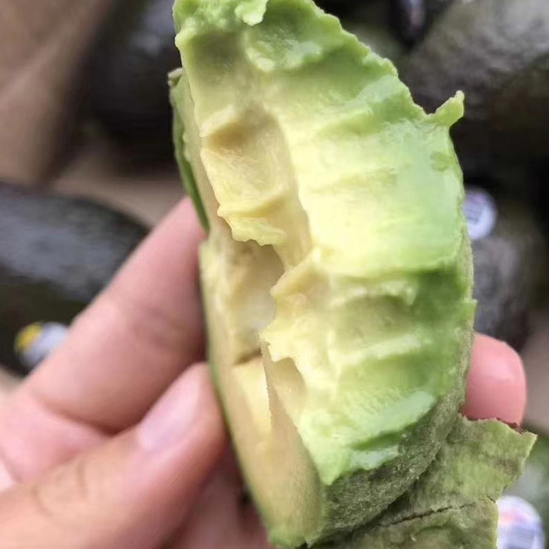 京遇良橙墨西哥进口牛油果 新鲜当季孕妇生鲜水果整箱 6个精品巨无霸【170-210g】