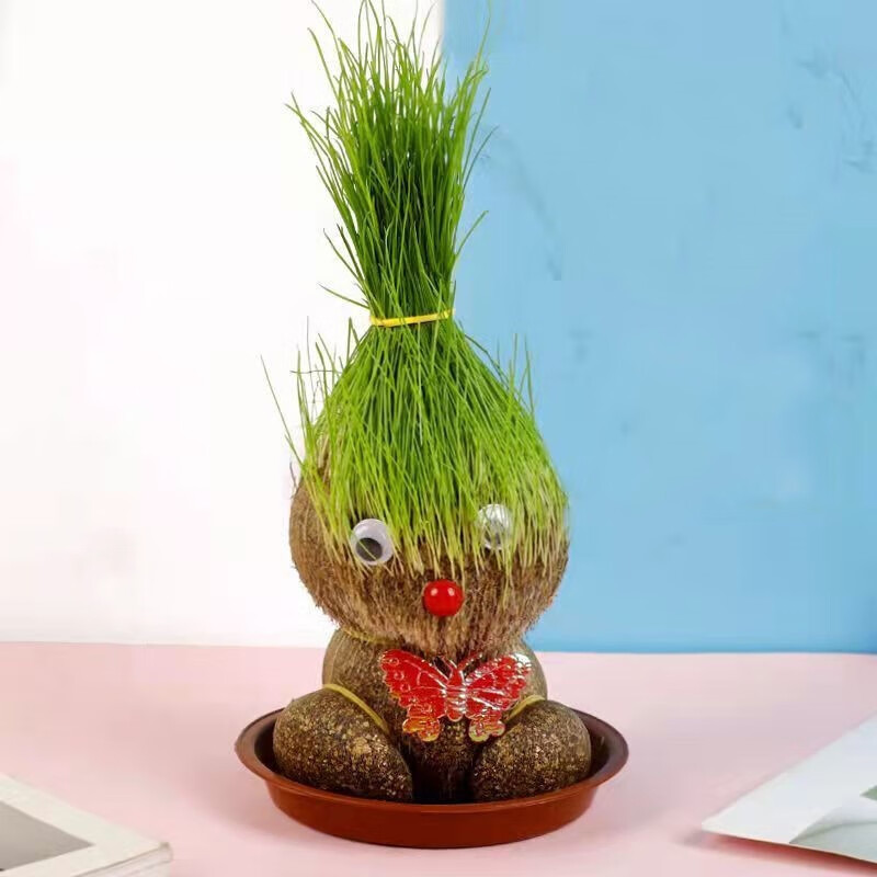 山头林村迷你卡通长草娃娃小孩子生日礼物抖音草头娃娃海绵宝宝 草头