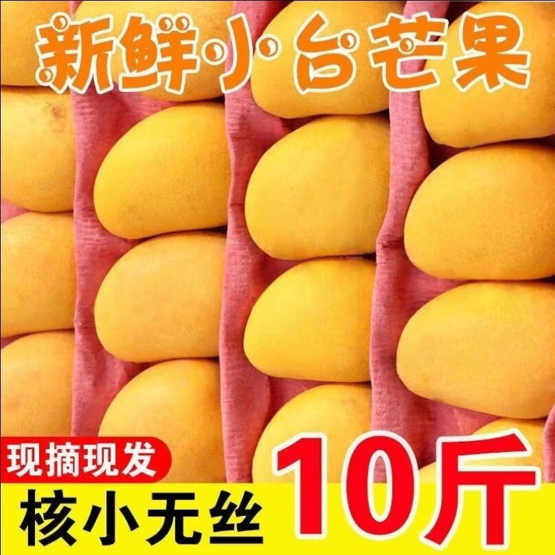柏饞海南小臺農(nóng)芒果新鮮現(xiàn)摘小臺芒應當季熱帶水果南方特產(chǎn)甜心熟芒果 9斤 凈重8-8.5斤 大果單果90-120g