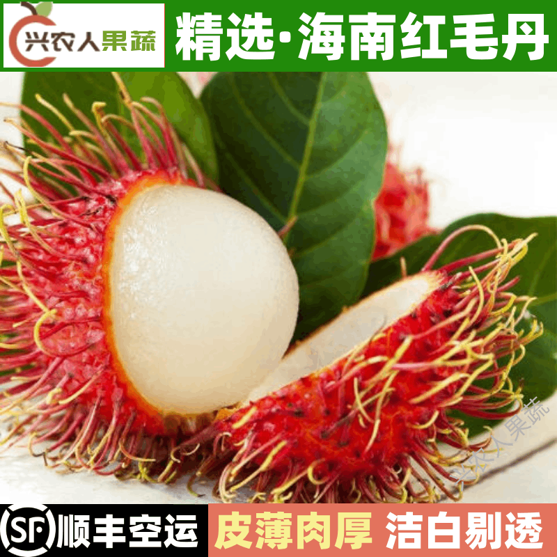 海南三亚红毛丹(顺丰空运)新鲜热带水果 多汁毛荔枝 水果精选 4.