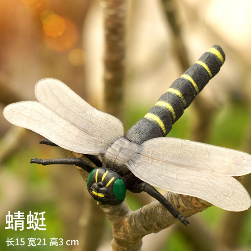 昆虫玩具蜘蛛蜜蜂蚂蚁知了蝴蝶甲虫儿童教学认知 蜻蜓