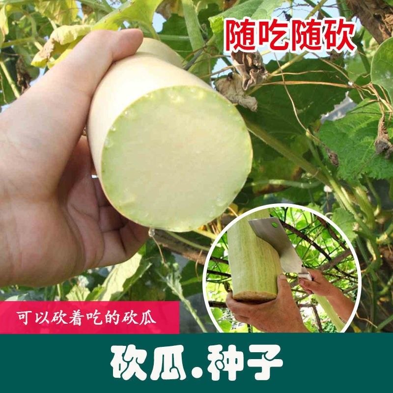 菜园籽种还可生长嫩瓜果肉细腻鲜嫩香糯菜瓜蔬菜 砍瓜种原厂包装1袋