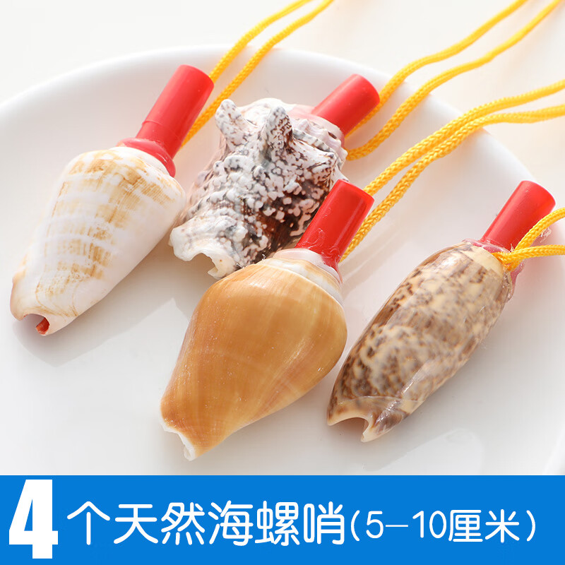 抖音同款海螺号角儿童贝壳玩具小螺号超大海螺壳工艺品可吹响喇叭口哨