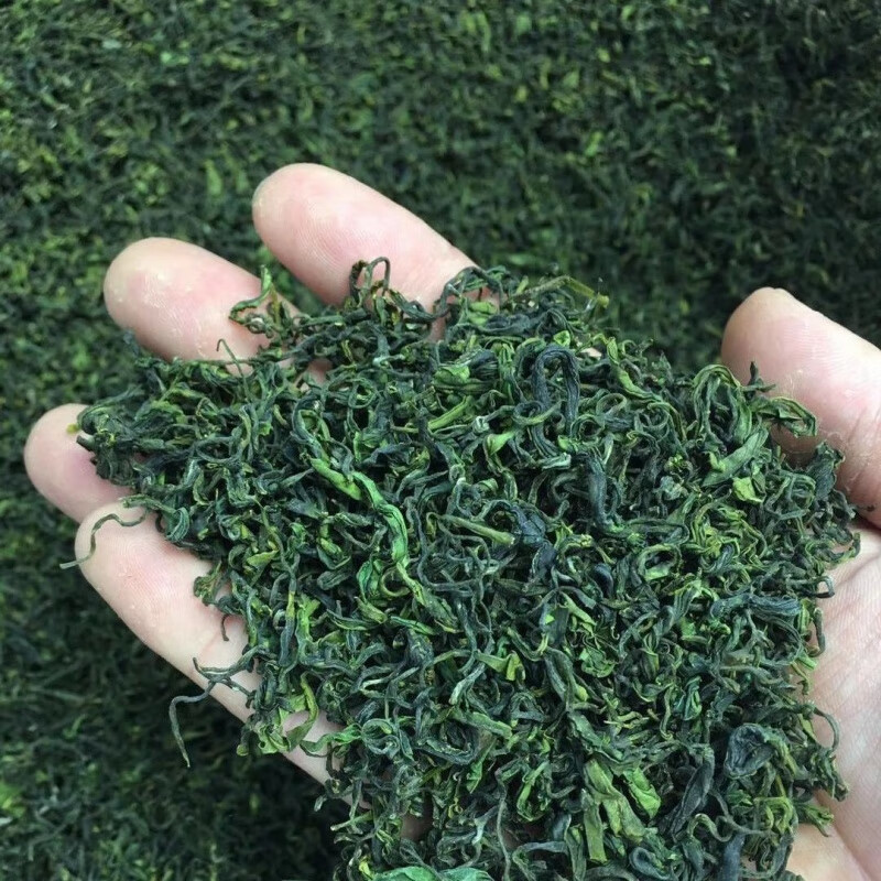 茶叶绿茶新茶日照绿茶茶叶山东高山绿茶炒青雨前茶叶250/500 c款 日照