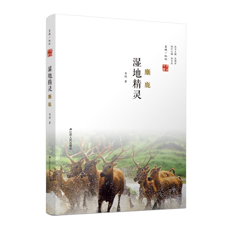 湿地精灵 麋鹿 盐城地标