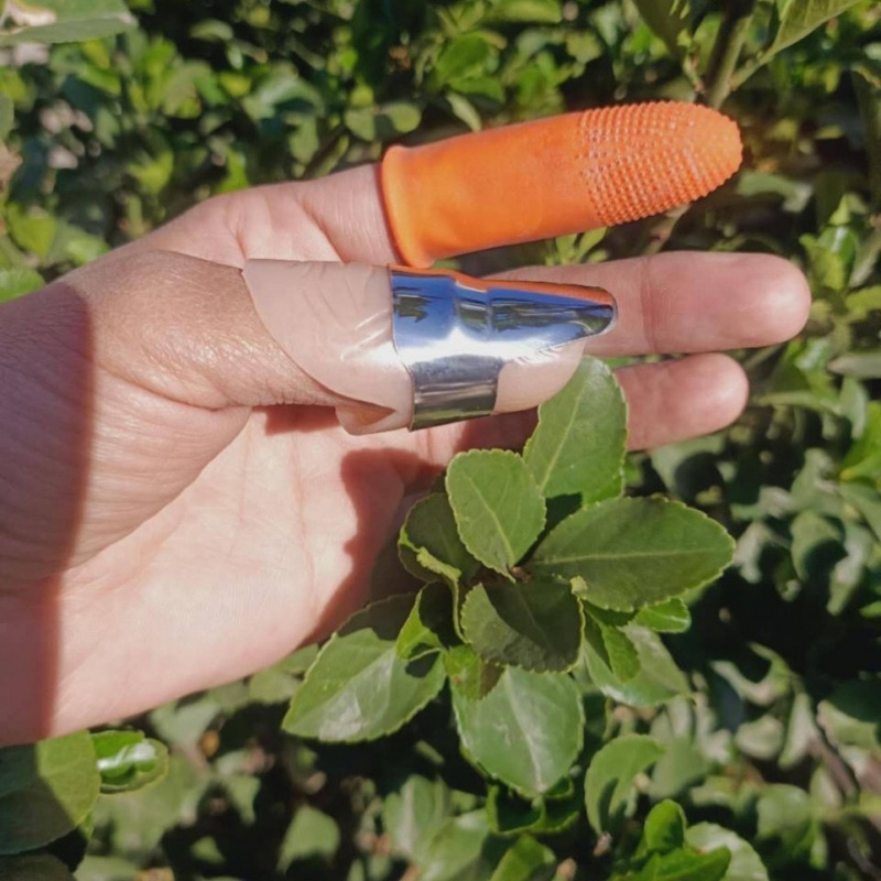 云珀新款摘果神器花椒采摘器摘菜神器拇指刀摘菜专用摘豆角摘水果神器