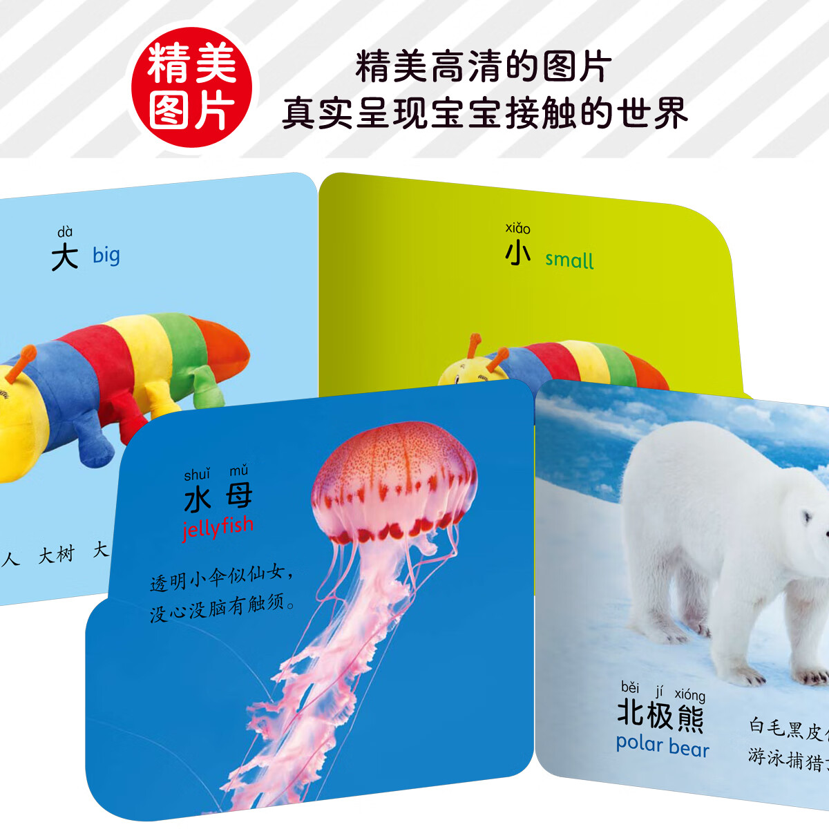 小车车翻翻卡6册 0-3岁宝宝启蒙认知纸板书撕不烂幼儿早教图书看图识字认识数字水果蔬菜交通工具可爱动物王国中英双语儿歌绘本 小车车翻翻卡(全6册)