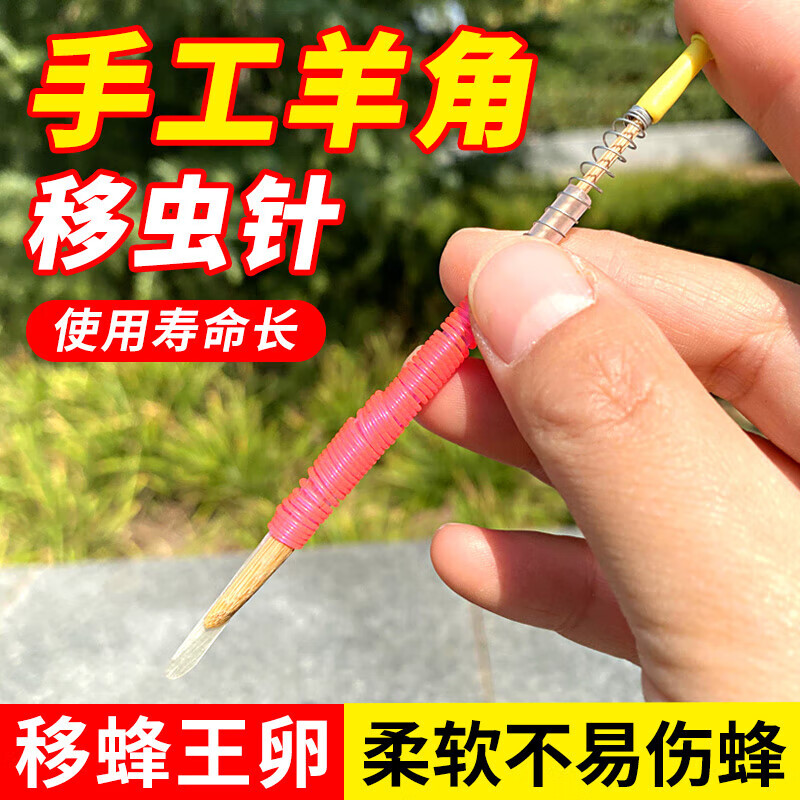 刘不丁羊角移虫针经济羊角移虫针优质移虫针蜂具蜂产品养蜂工具